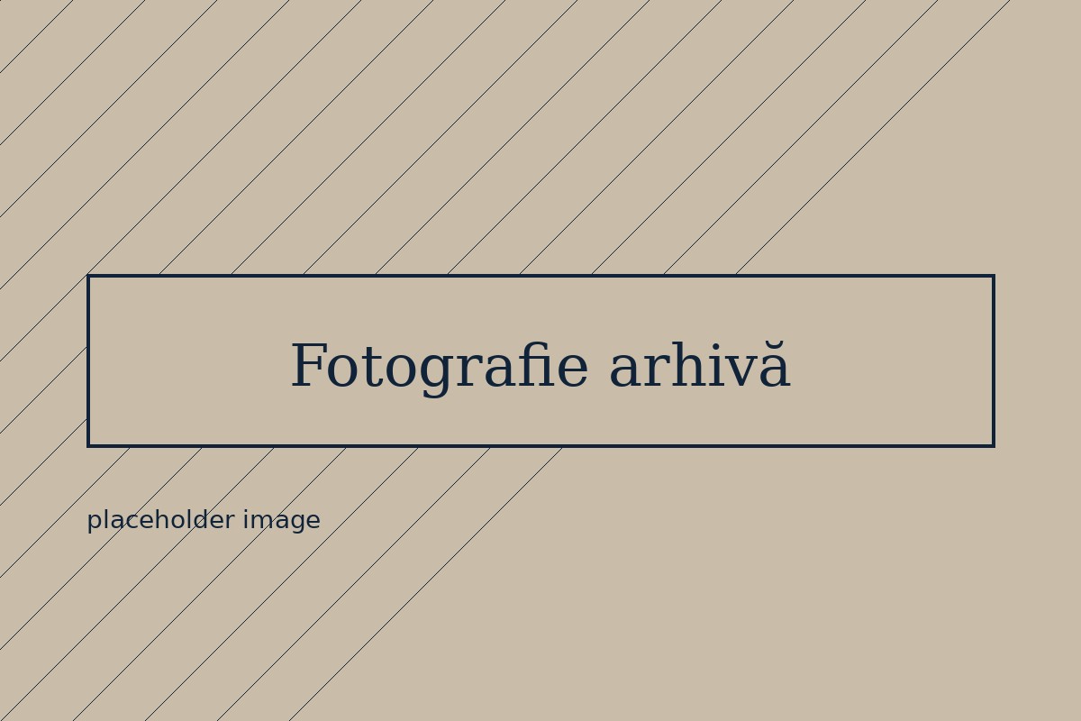 Fotografie istorică de aviație, placeholder